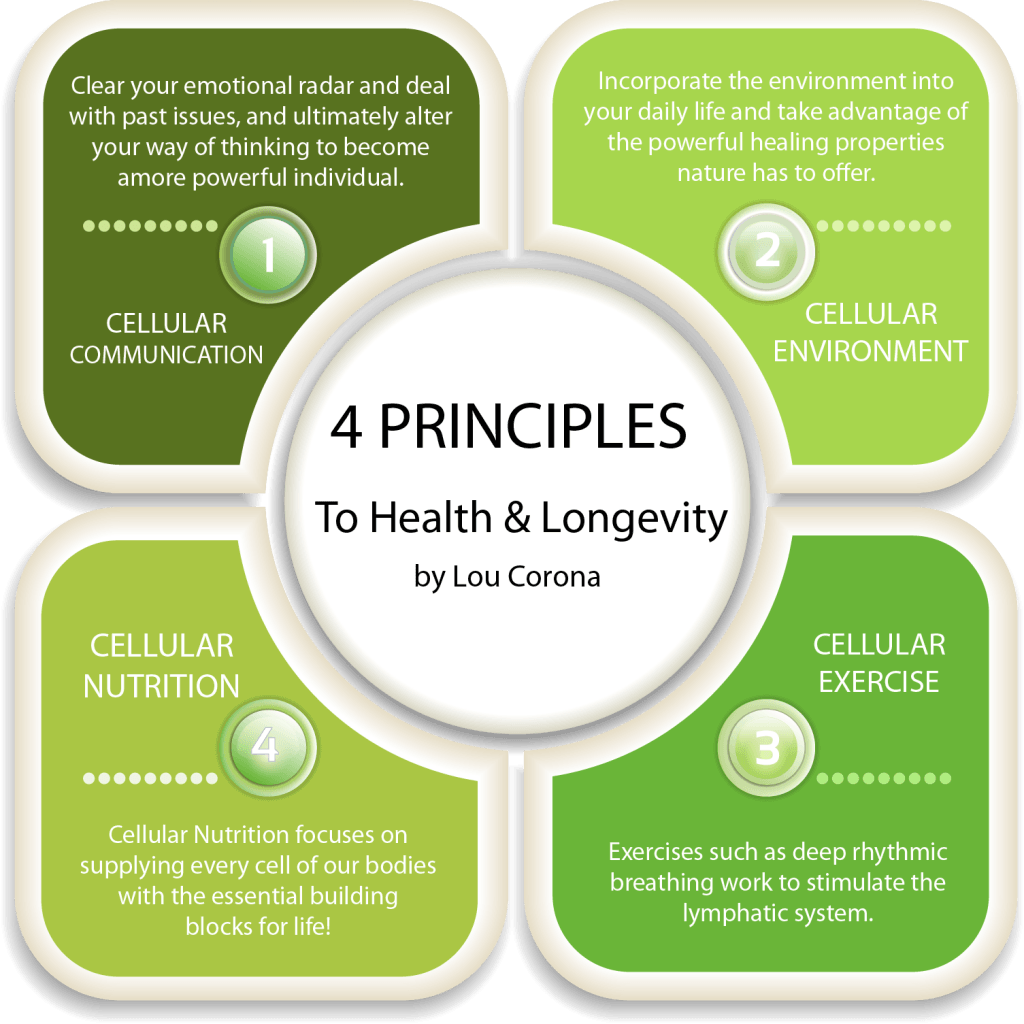 4 Principles