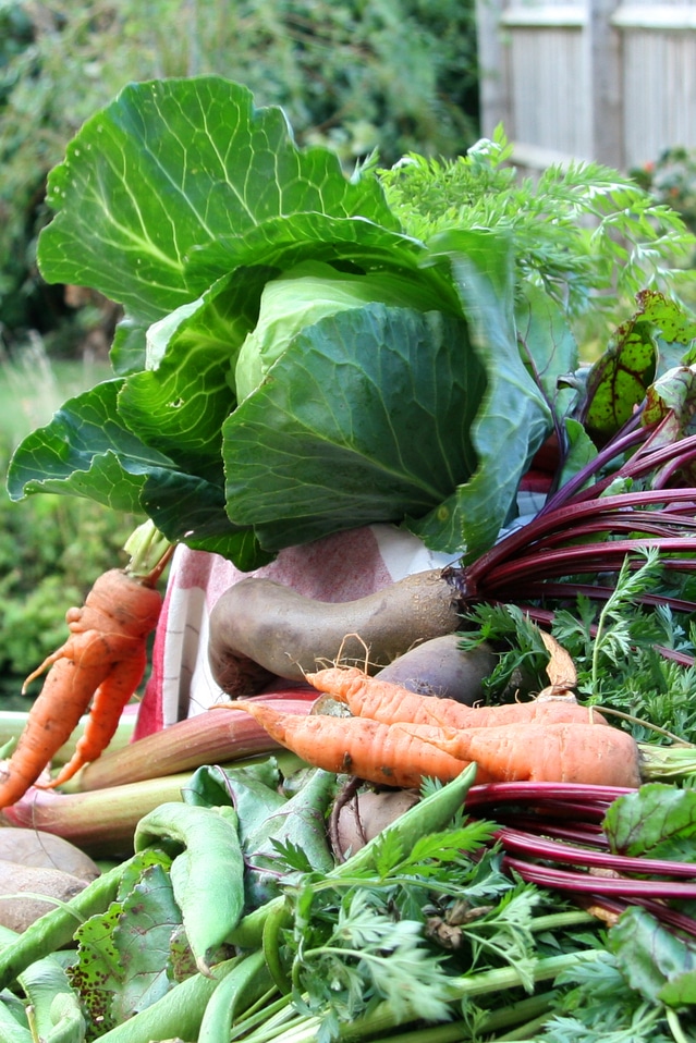 Organic Vegetables
