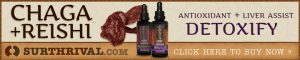 Chaga and Reishi Banner