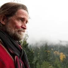Stephen Jenkinson-Orphan Wisdom