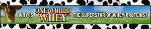 One World Whey 4
