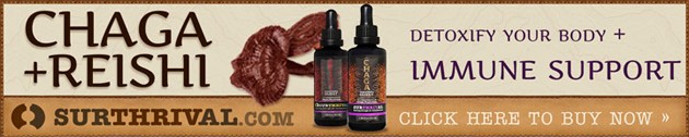 Surthrival Chaga and Reishi